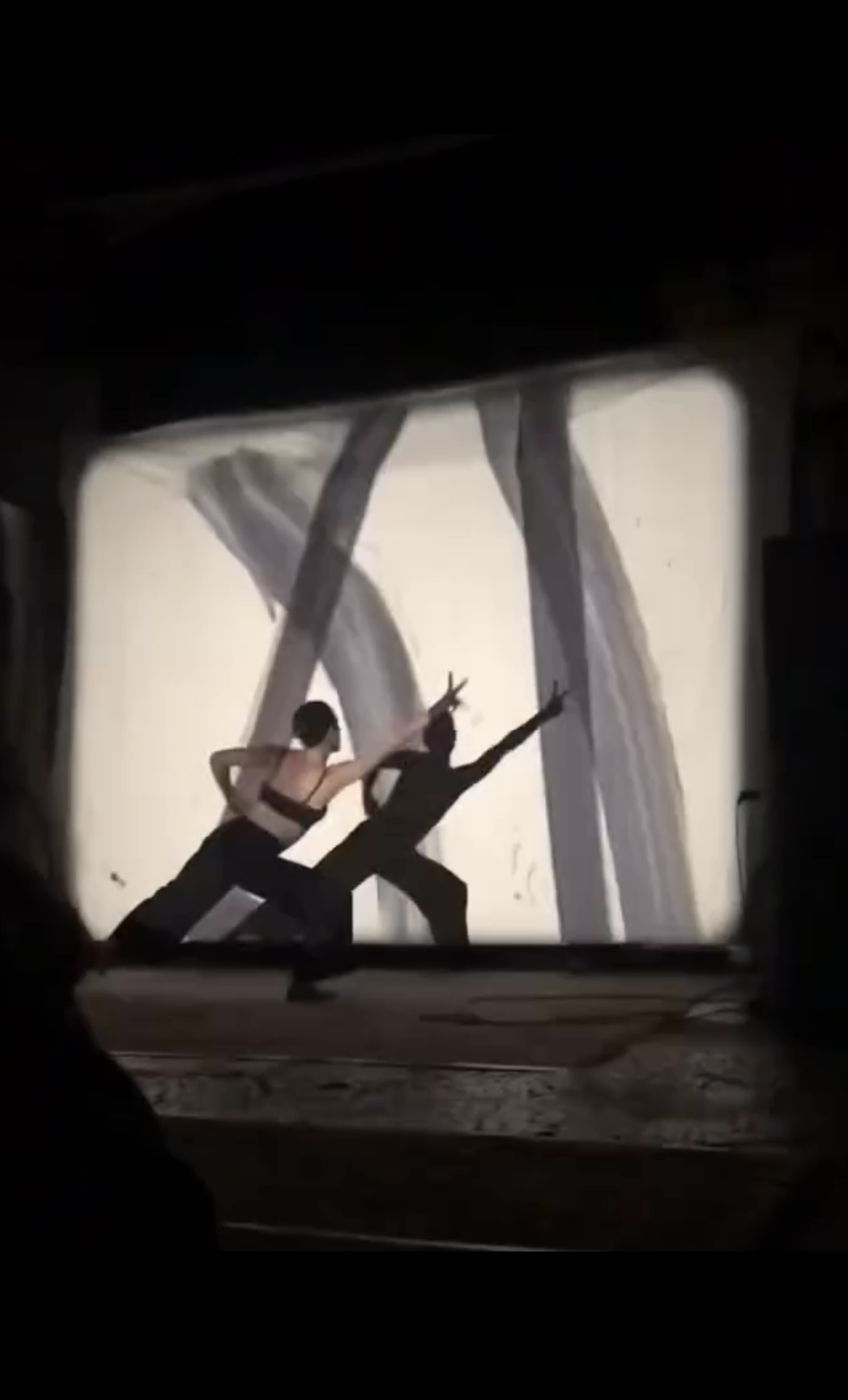 CINÉDOC Projection